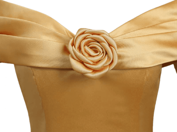 Princess Belle Dress (6)
