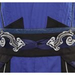 Mortal Kombat Sub-Zero Costume (1)