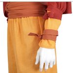 Avatar The Last Airbender Season One The Legend of Aang Cosplay Costume (1-1)