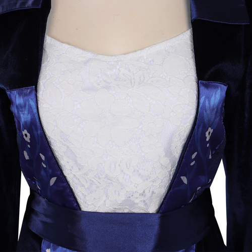 Custom Made Titanic Rose Blue Velvet Gown Dress Outfit (4)
