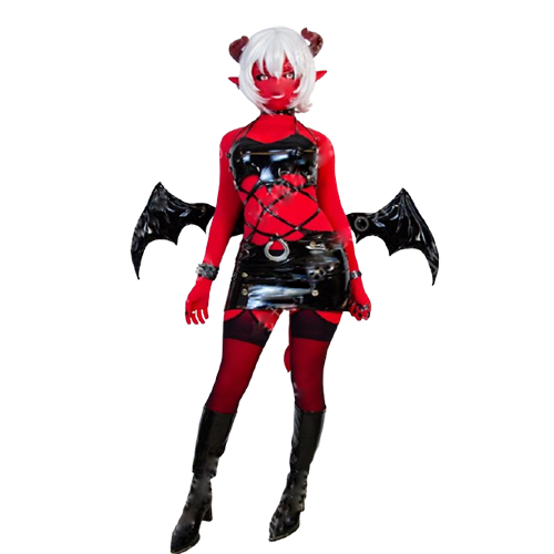 Custom Made パンティ&ストッキングwithガーターベルト ‌Devil Twin Sisters Cosplay Costume