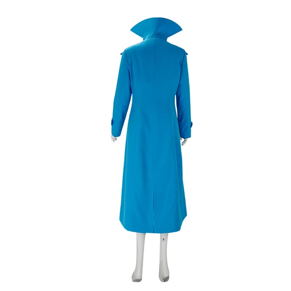 Despicable Me 2 Lucy Wilde Costume (1-5)
