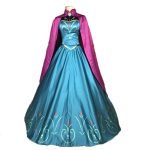 Frozen Elsa Dress Princess Queen Costume (1)