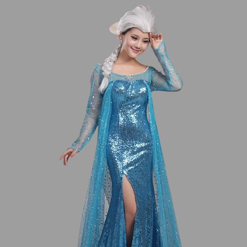 Frozen Elsa Snow Queen Princess Elsa Dress Costume (6)