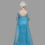 Frozen Elsa Snow Queen Princess Elsa Dress Costume (1)